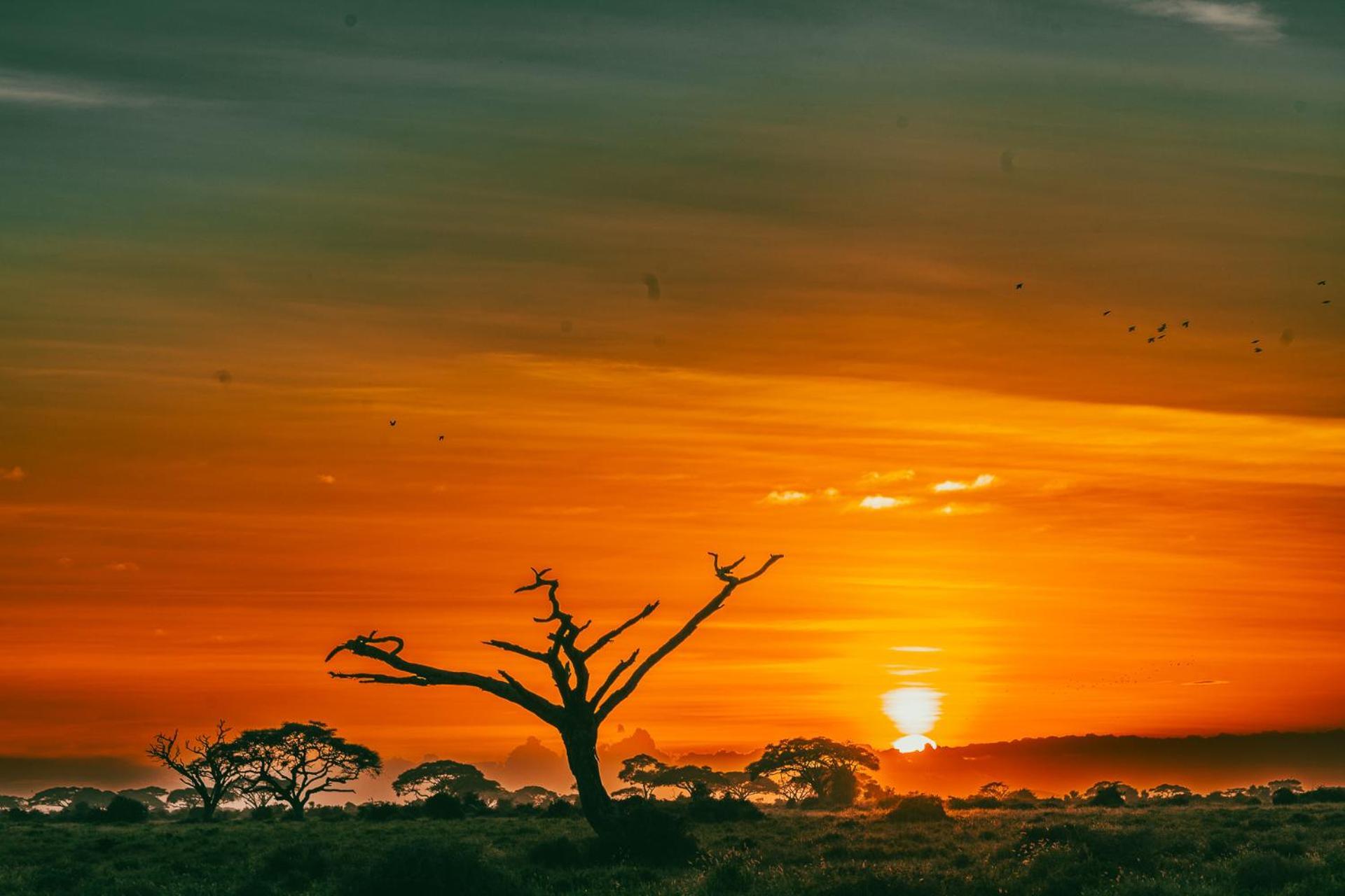 Kilimanjaro View Cabin-Amboseli Oloitokitok Номер фото