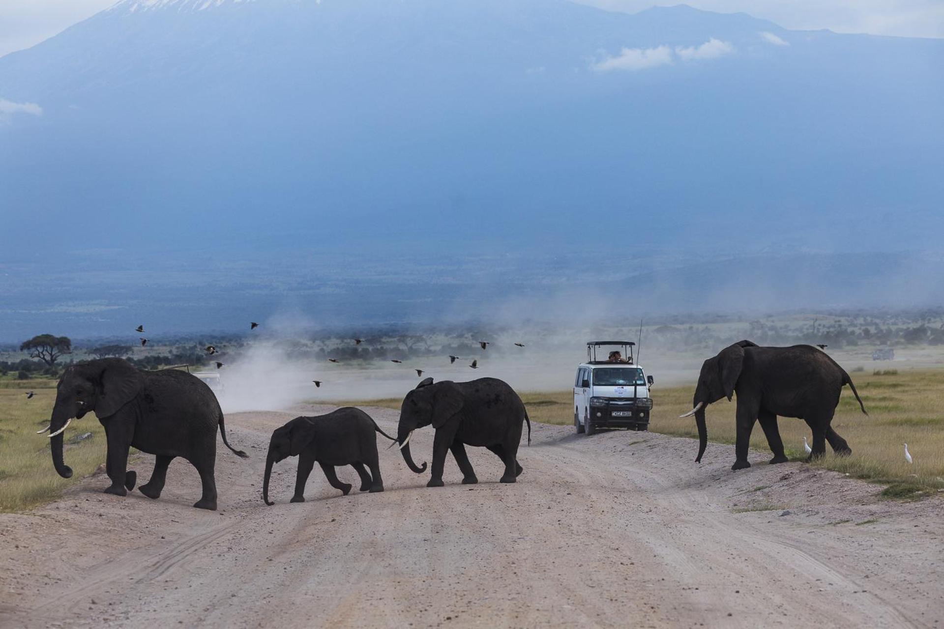 Kilimanjaro View Cabin-Amboseli Oloitokitok Номер фото